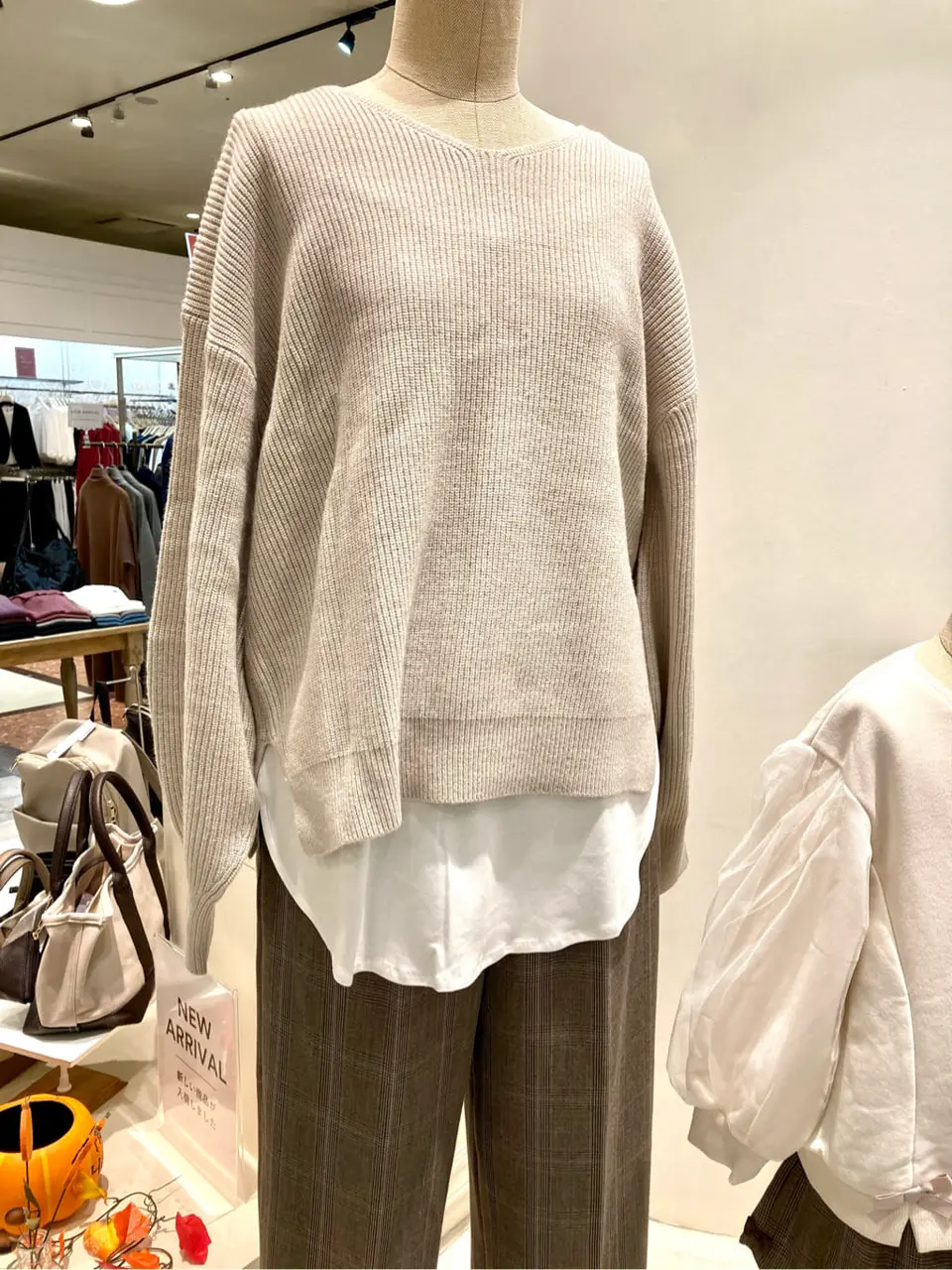 ANY 杉原 コーディネート画像