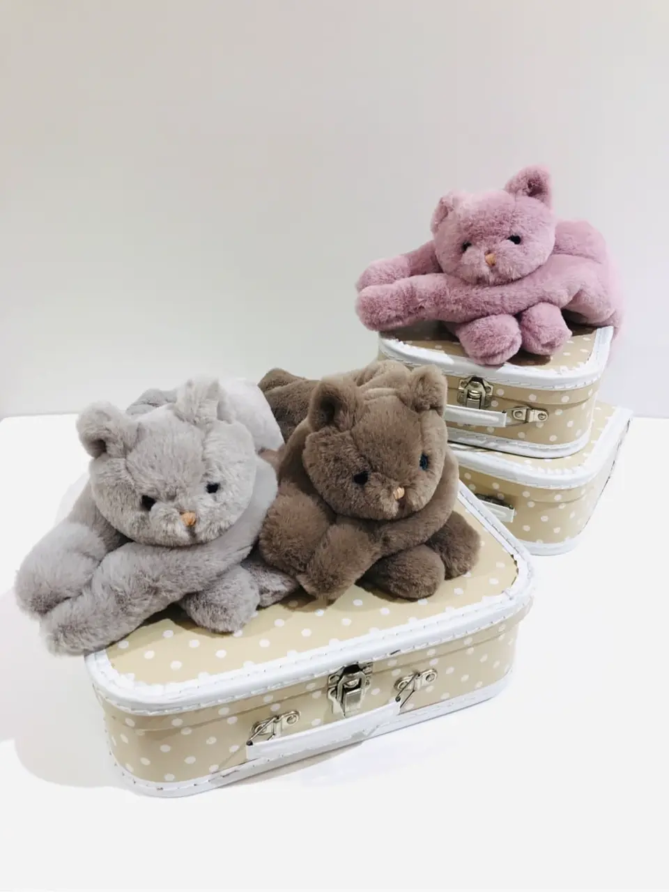 ANY 田口 コーディネート画像