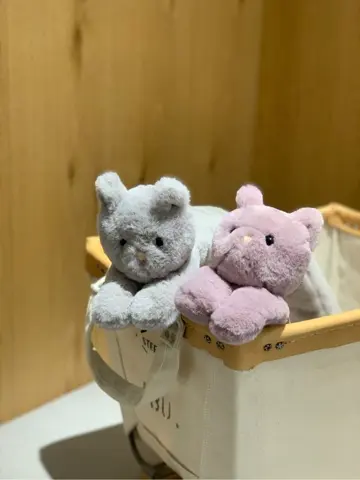 ANY Y コーディネート画像