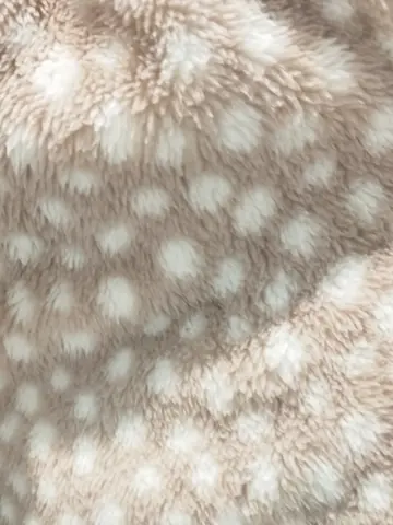 ANY 重永 コーディネート画像