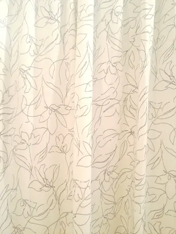 ANY 林 コーディネート画像