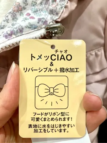 ANY 杉原 コーディネート画像