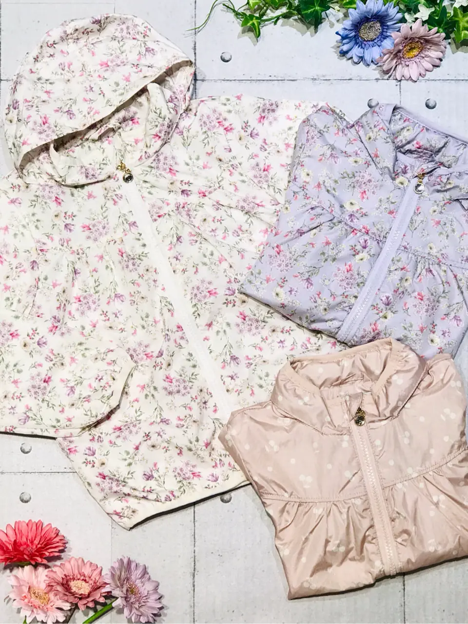 ANY 田口 コーディネート画像