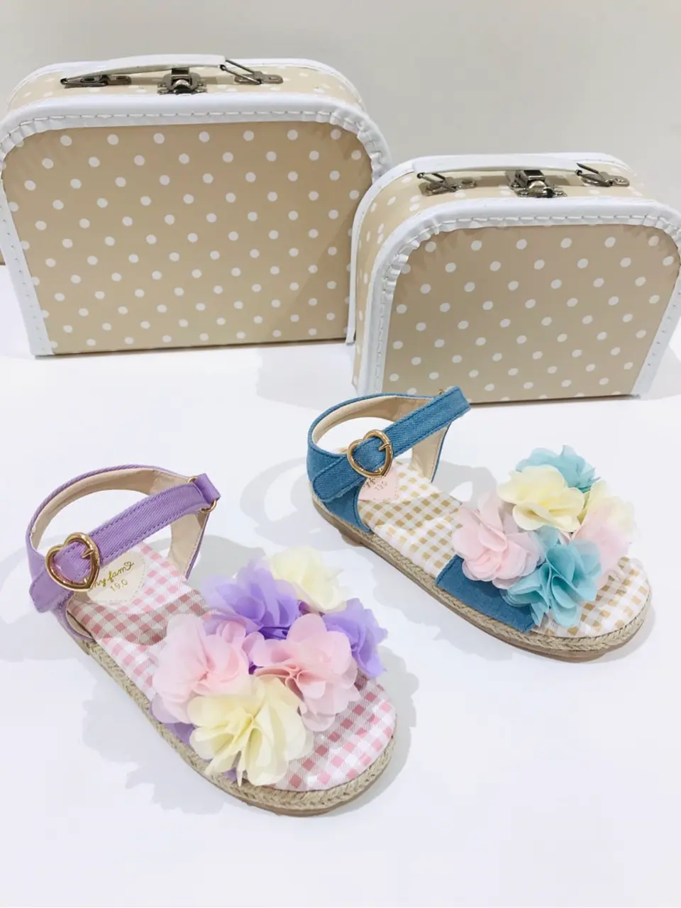 ANY 田口 コーディネート画像