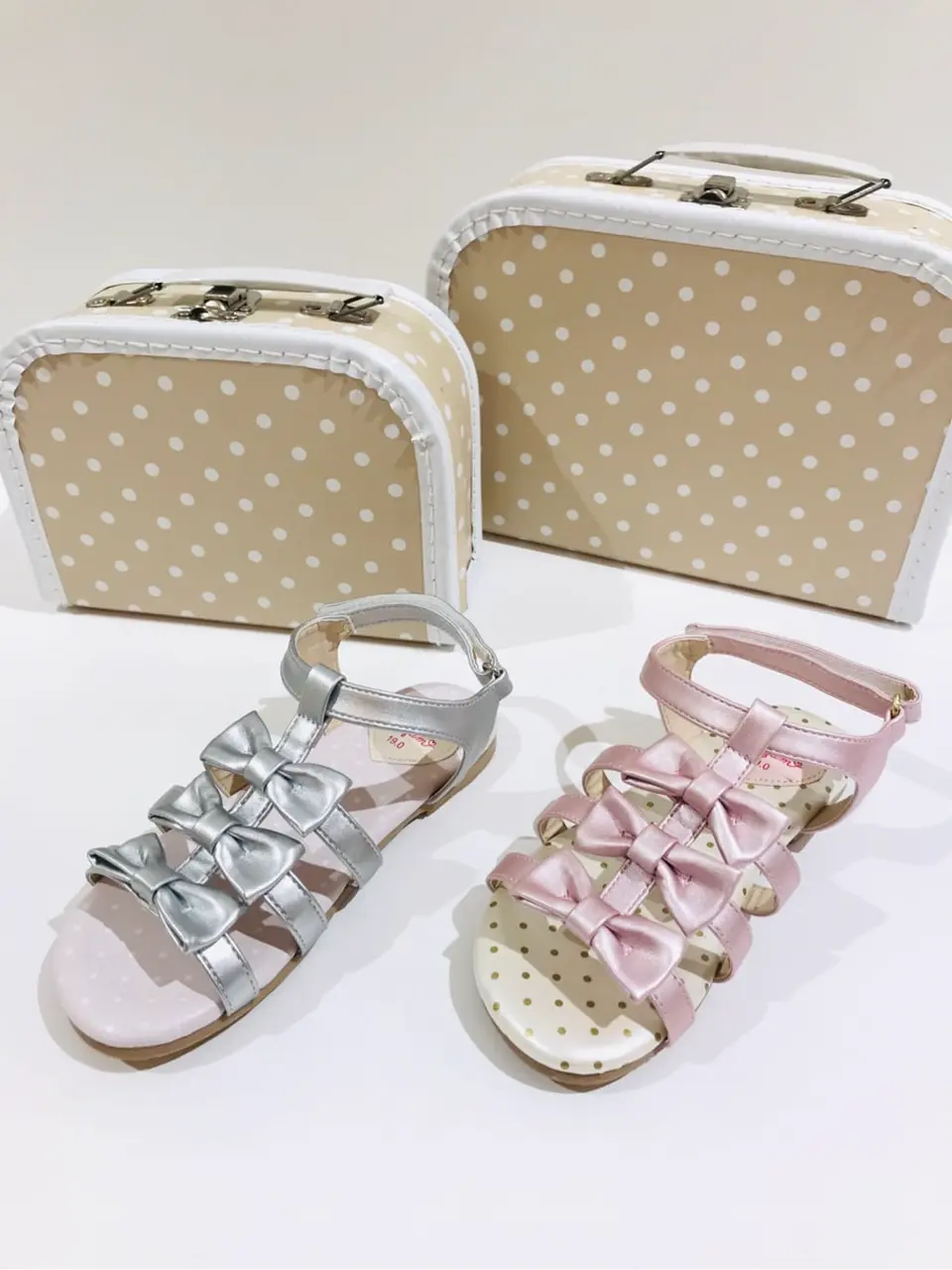 ANY 田口 コーディネート画像