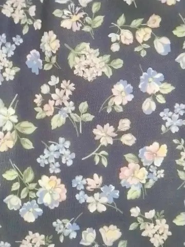 ANY H コーディネート画像