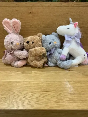 ANY Y コーディネート画像