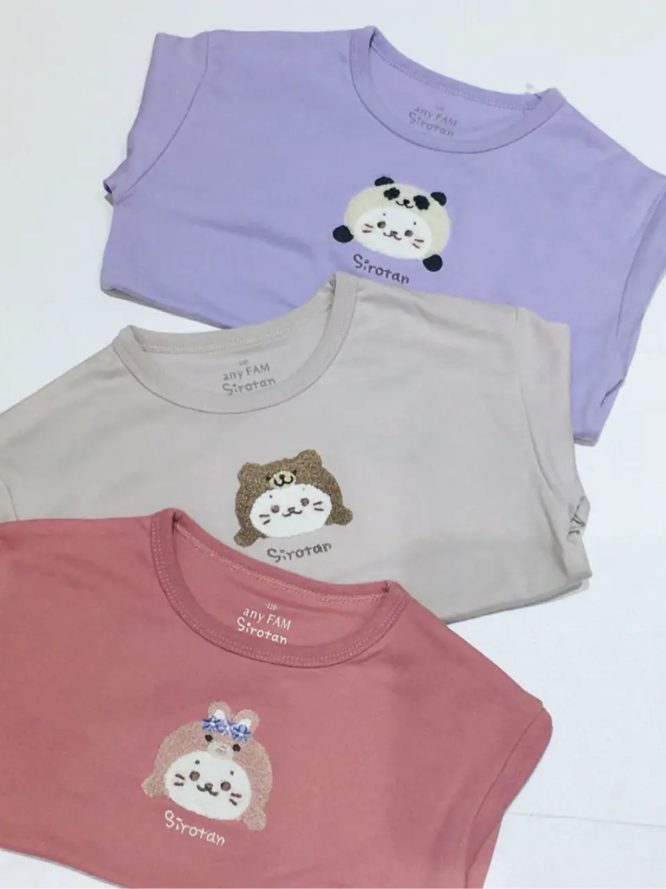 ANY 山口 コーディネート画像