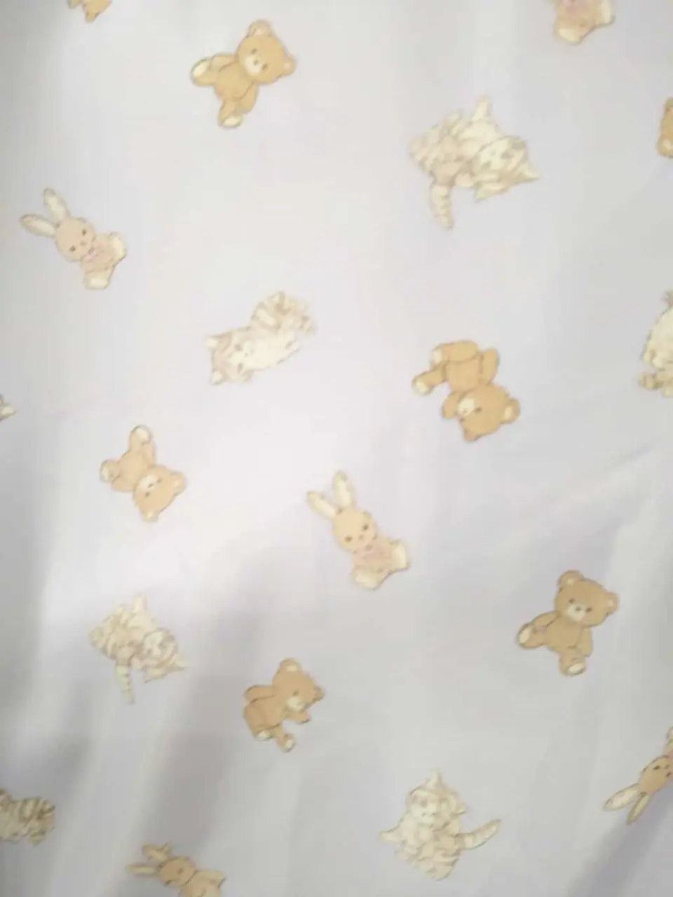 ANY H コーディネート画像