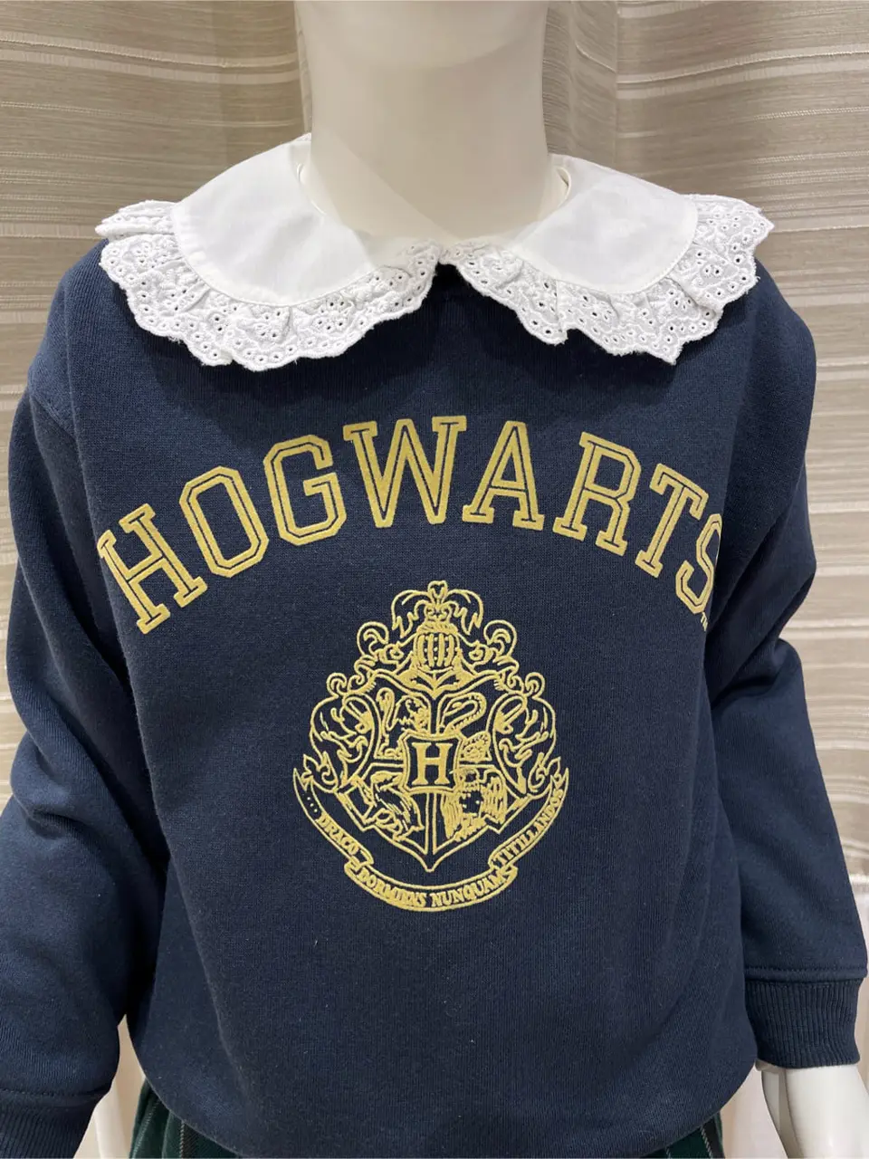 ANY 岡田 コーディネート画像