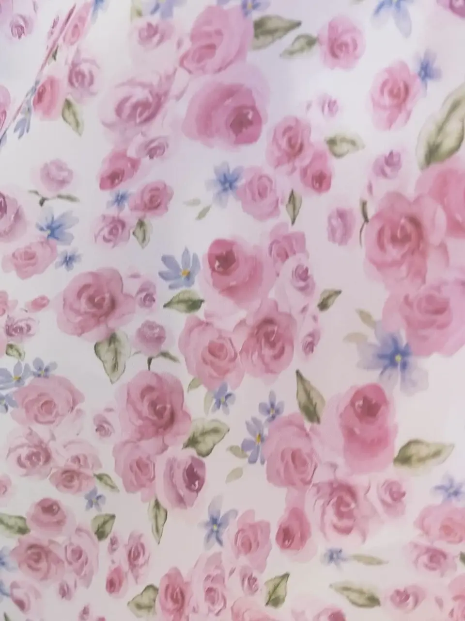 ANY 重永 コーディネート画像