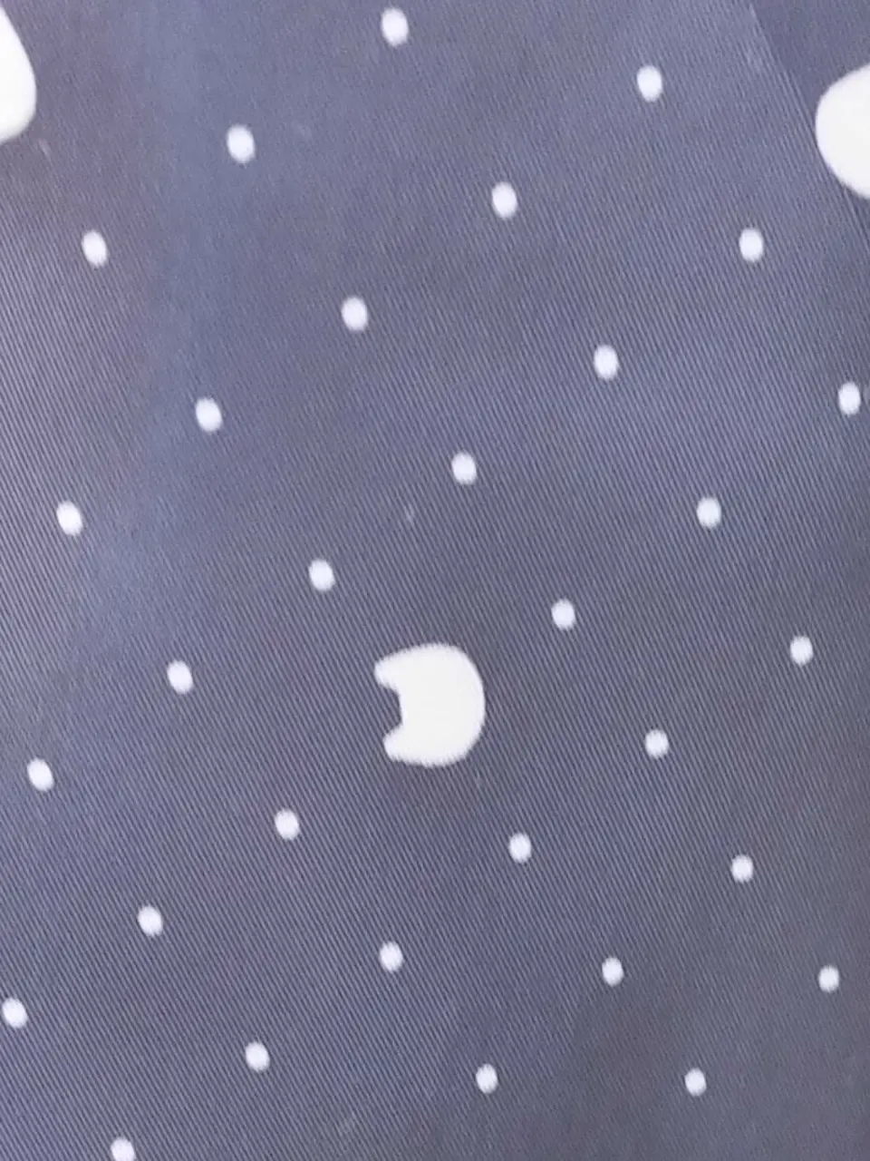 ANY 重永 コーディネート画像