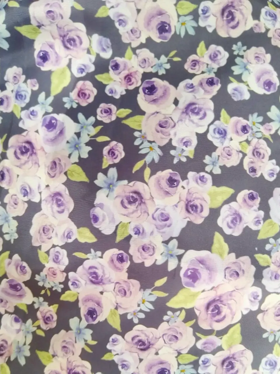 ANY H コーディネート画像