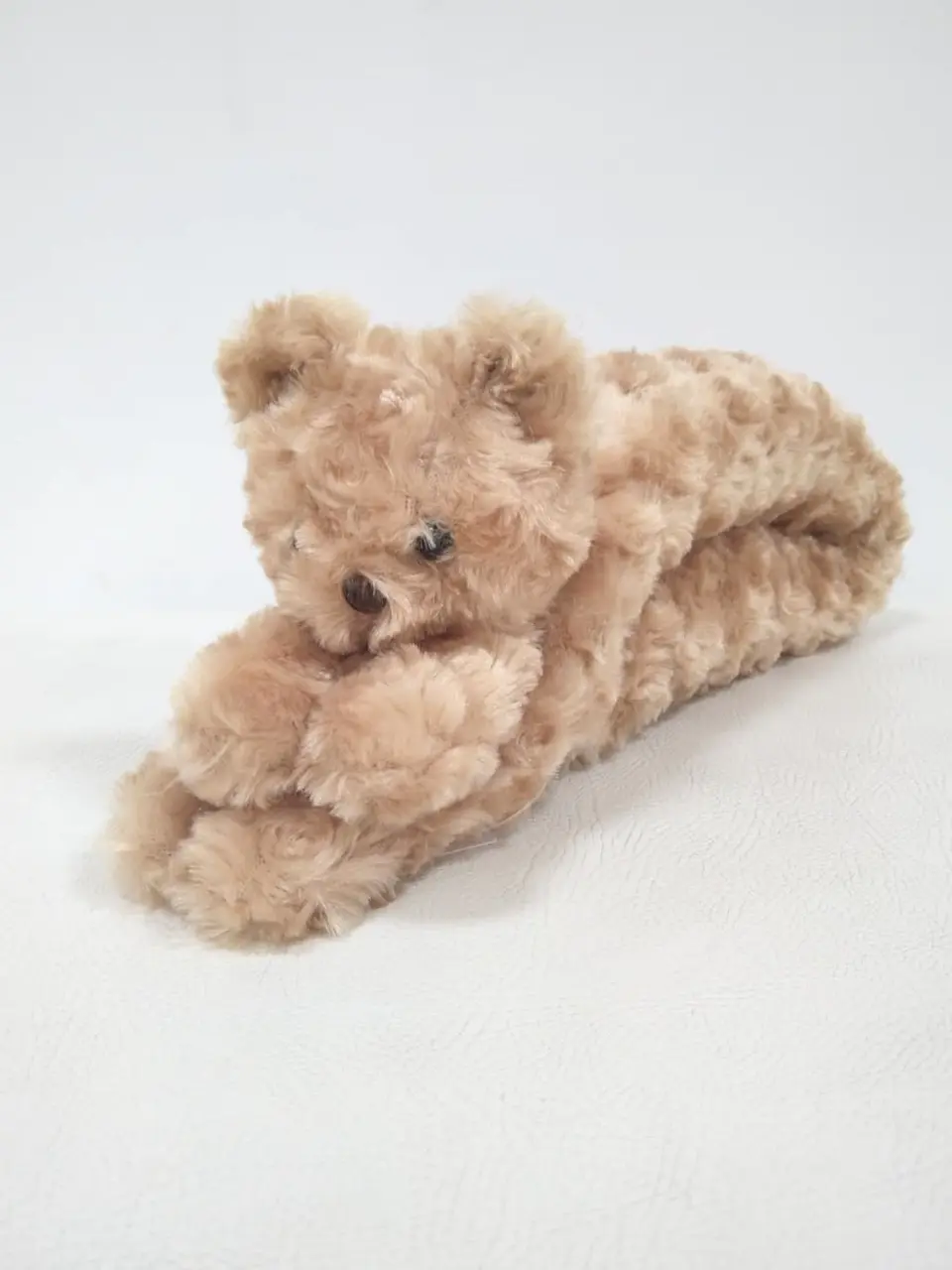 ANY H コーディネート画像