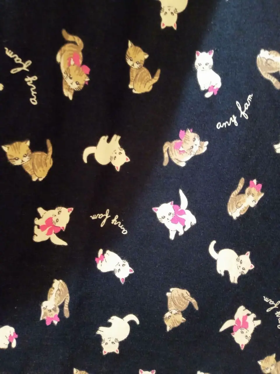 ANY M コーディネート画像