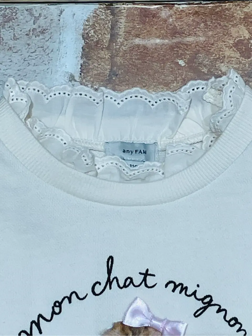 ANY 山口 コーディネート画像