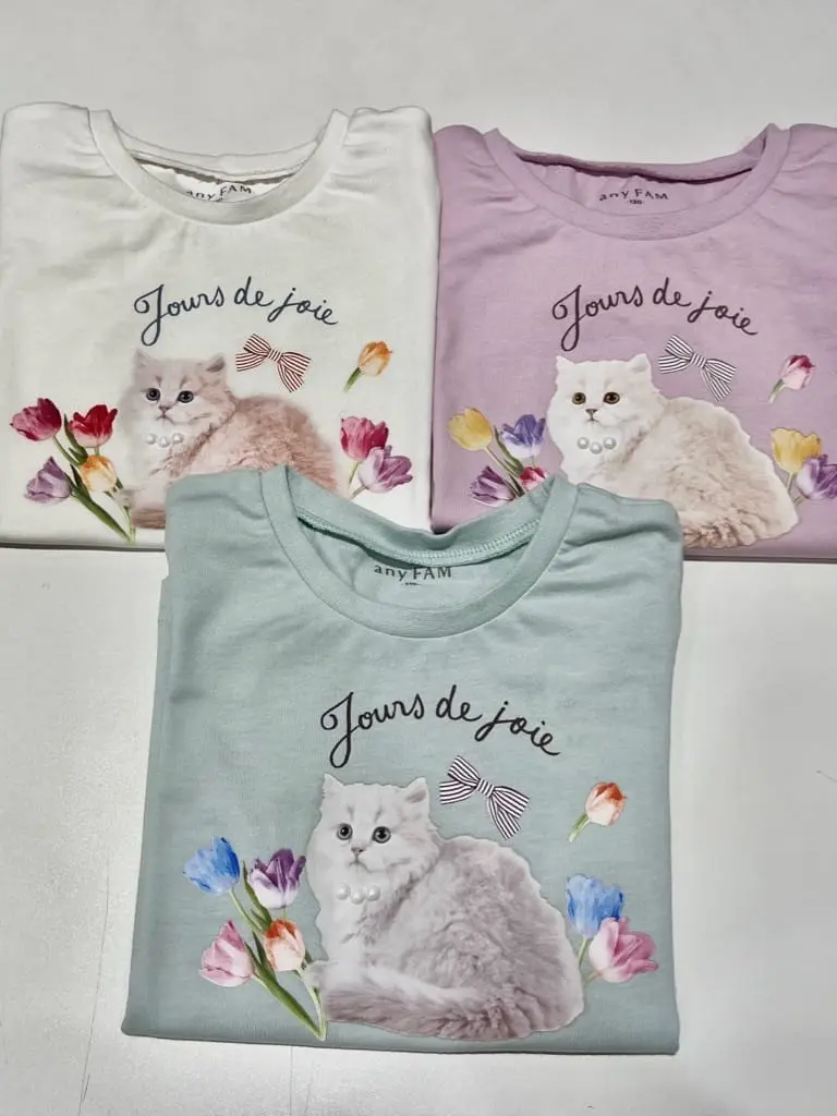 ANY Y コーディネート画像