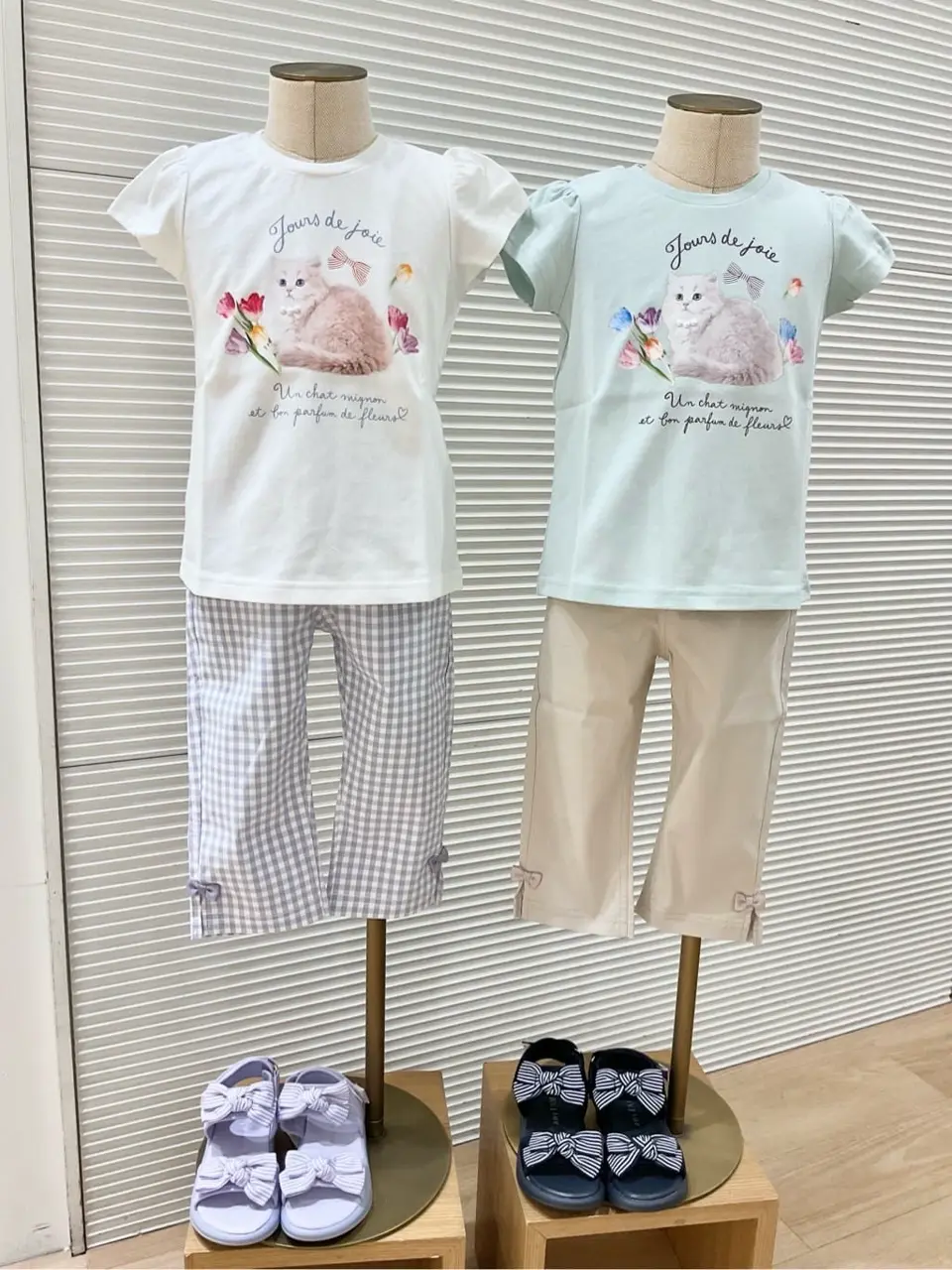 ANY Y コーディネート画像