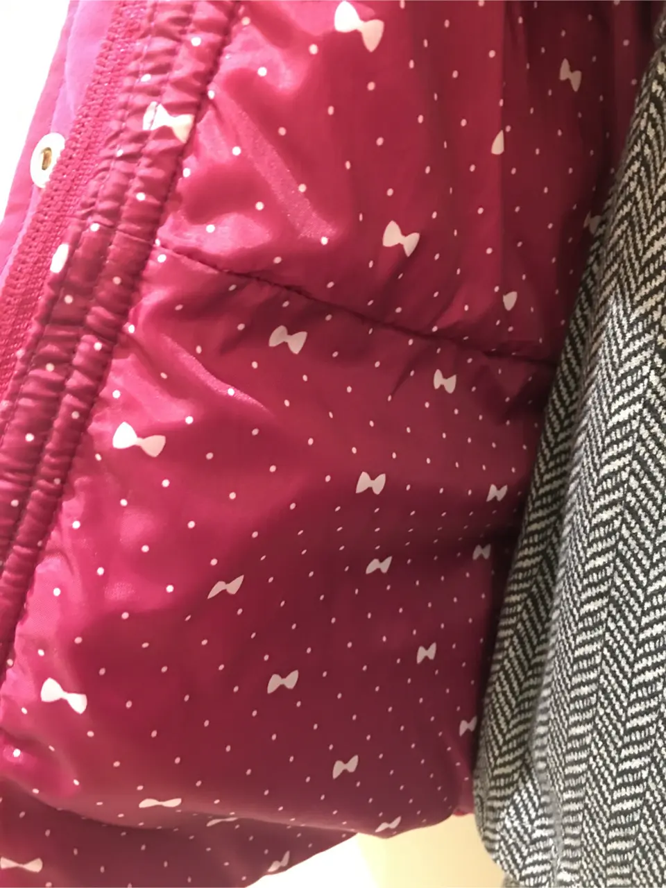 ANY Y コーディネート画像