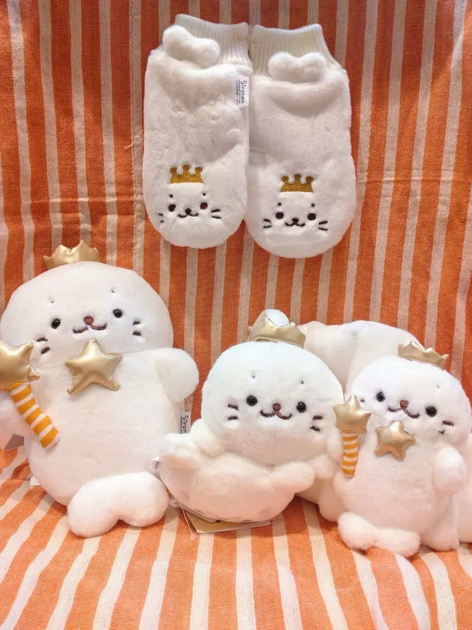 ANY 武市 コーディネート画像