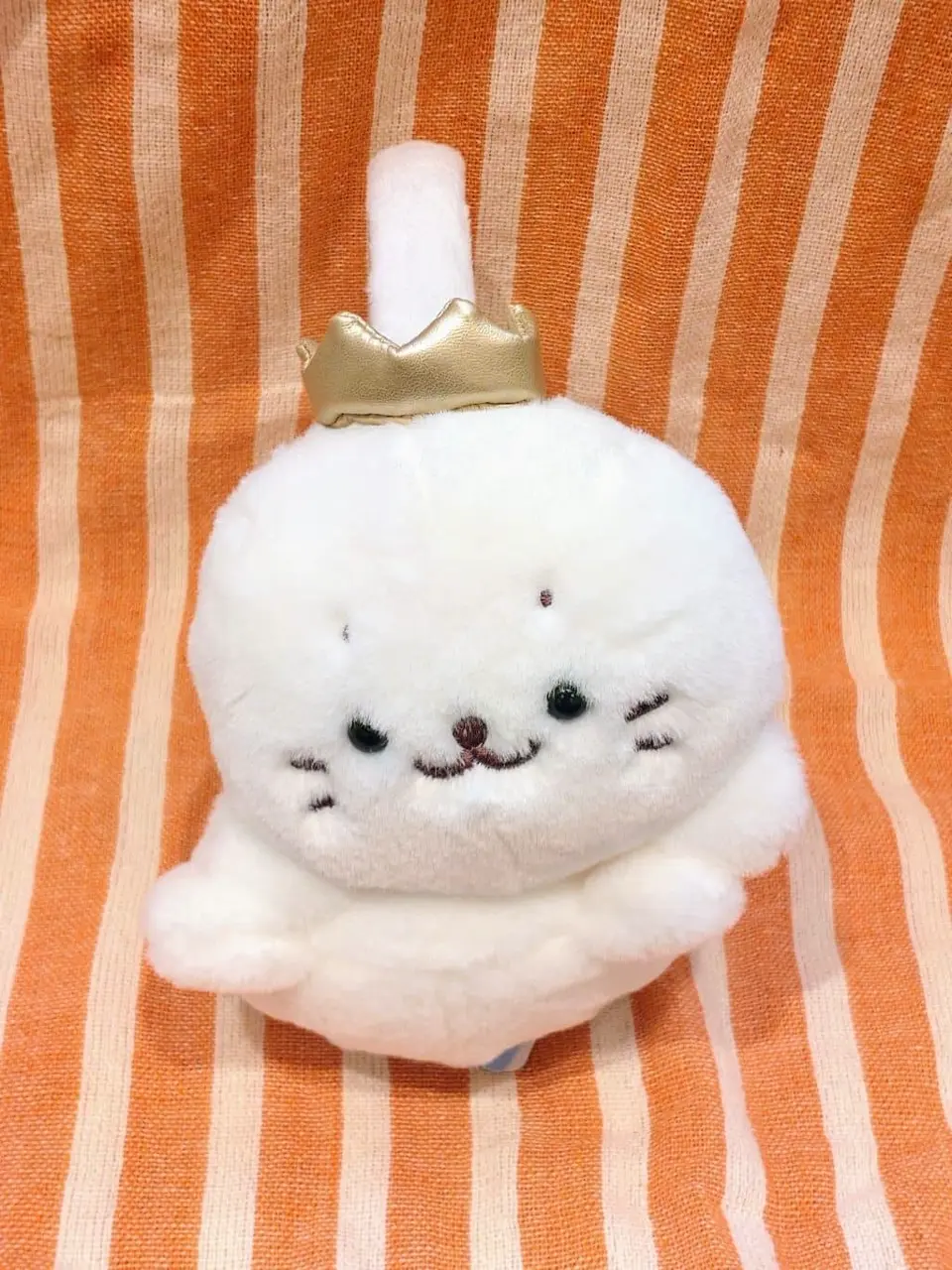 ANY 武市 コーディネート画像