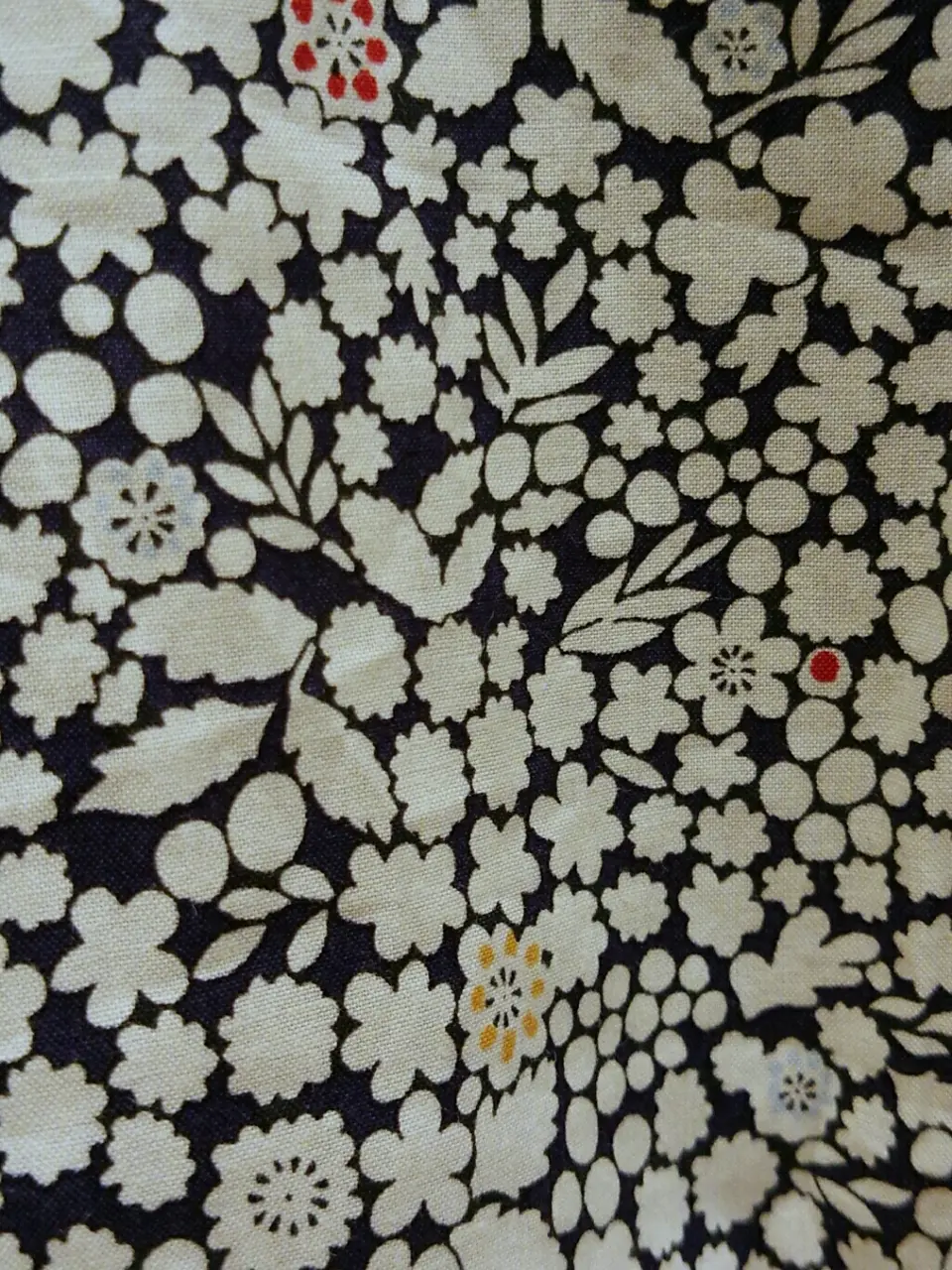 ANY 山川 コーディネート画像