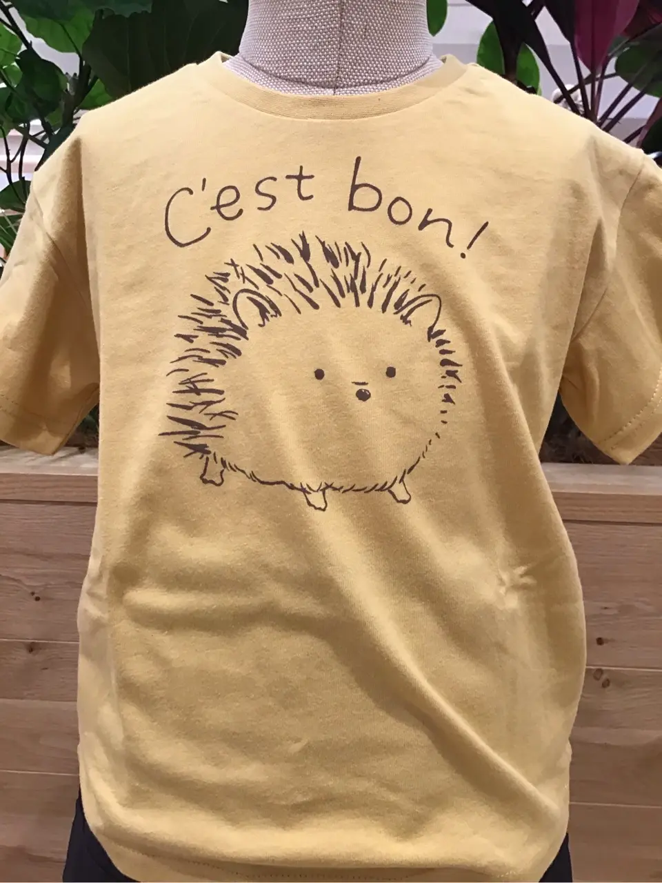 ANY スタッフ コーディネート画像