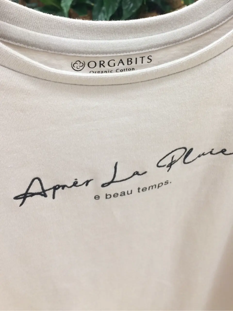 ANY 杉山 コーディネート画像