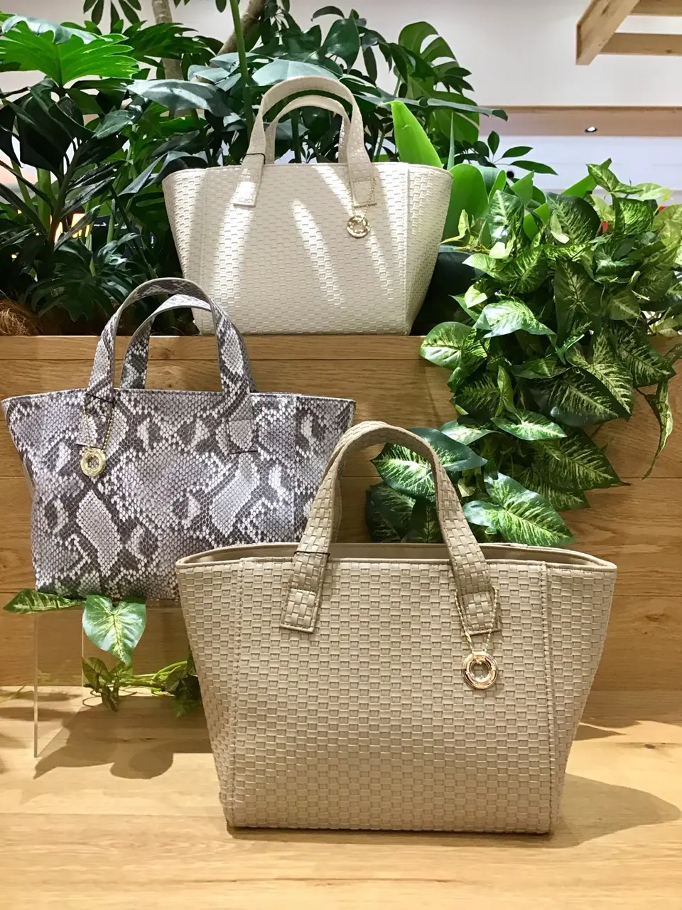  Y コーディネート画像