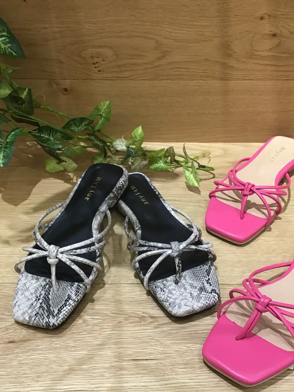  Y コーディネート画像