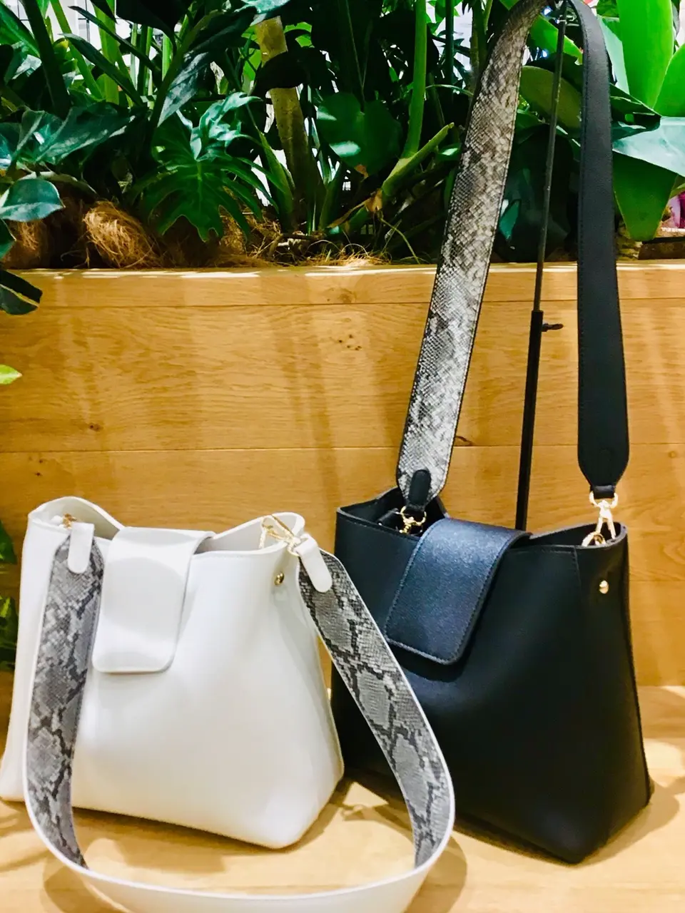  Y コーディネート画像