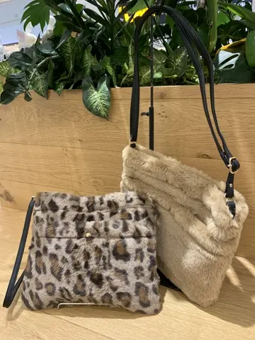 ANY Y コーディネート画像