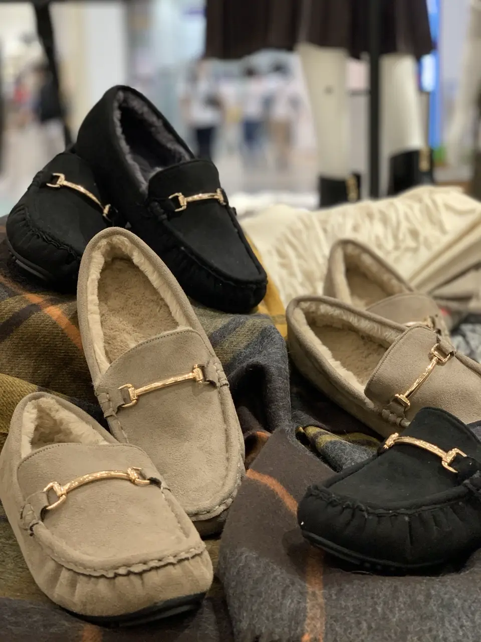  Y コーディネート画像