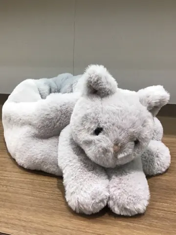 ANY 武市 コーディネート画像