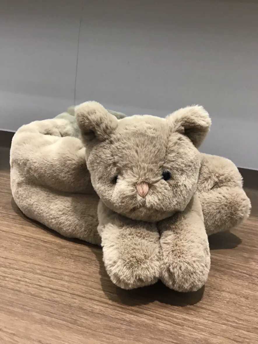 ANY 武市 コーディネート画像