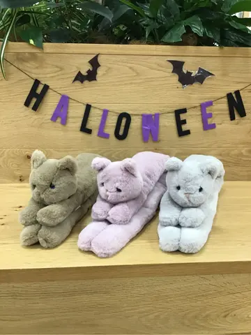 ANY 鈴木 コーディネート画像