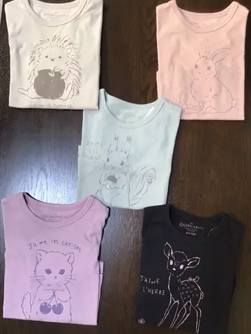 ANY 関 コーディネート画像