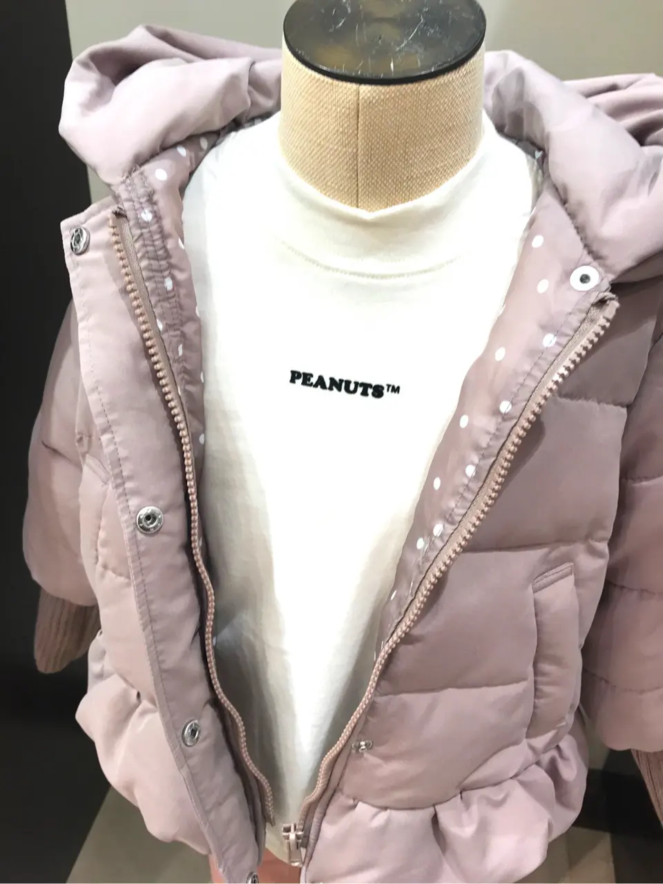 ANY 杉原 コーディネート画像