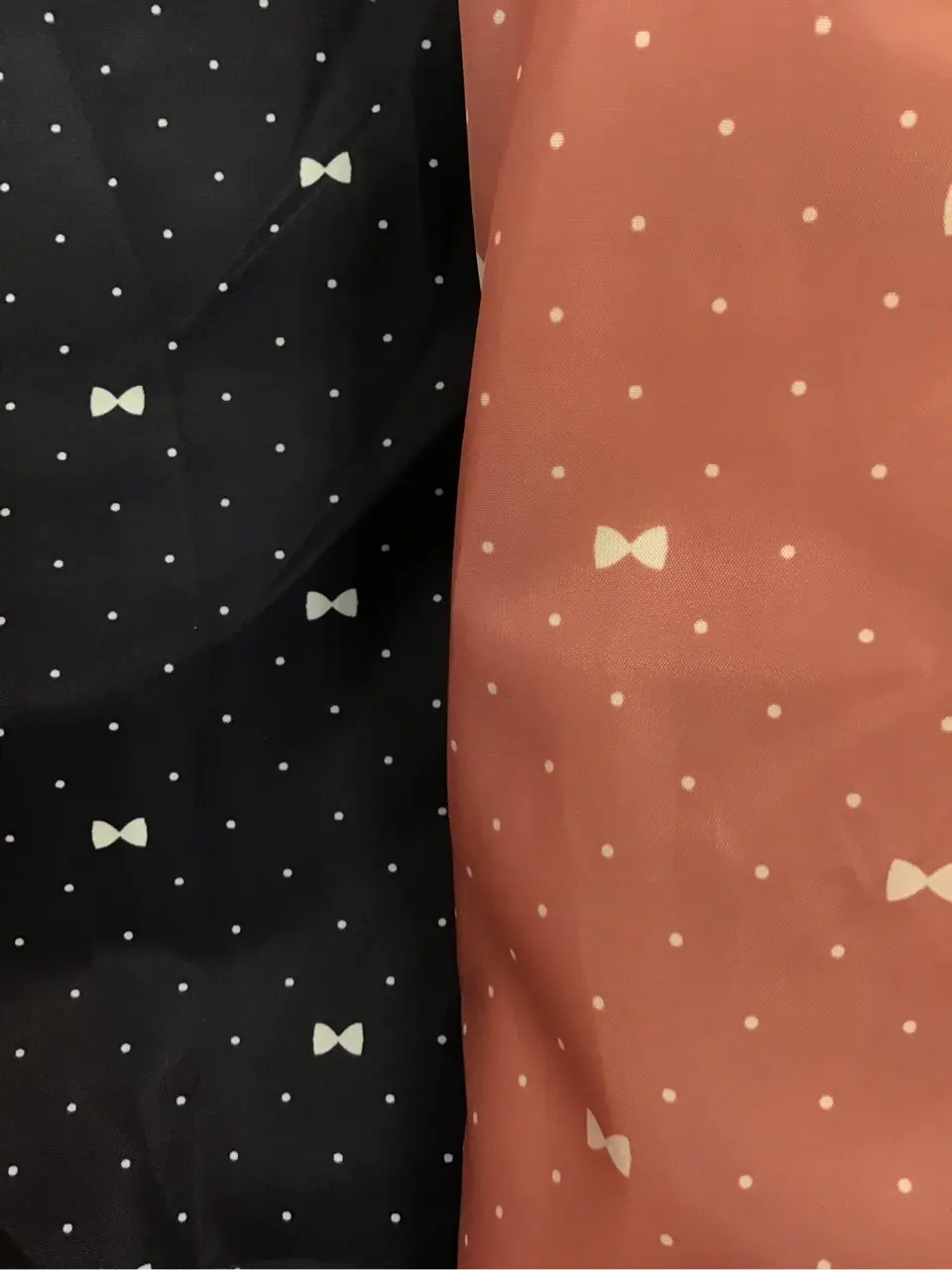 ANY 菱田 コーディネート画像