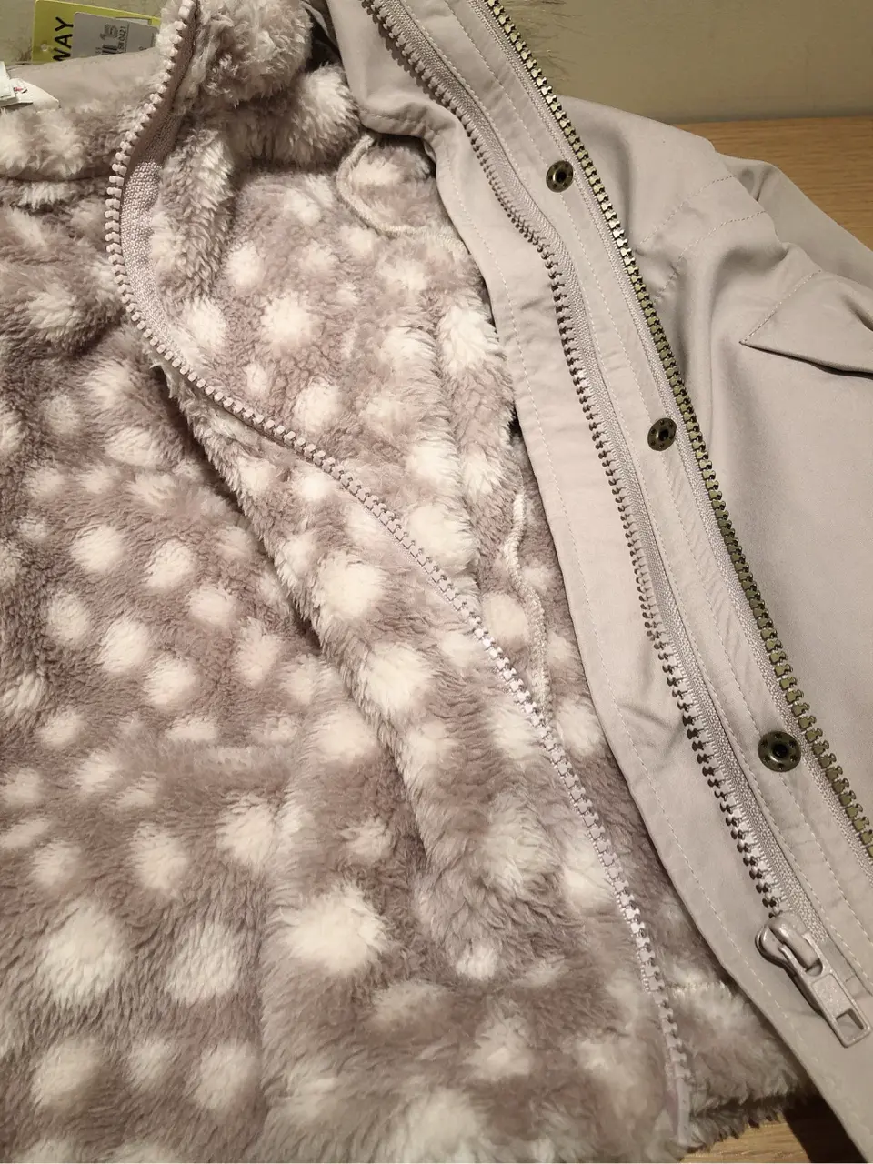 ANY 齋藤 コーディネート画像