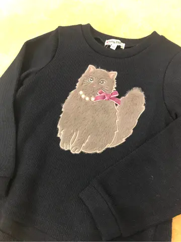 ANY 杉原 コーディネート画像