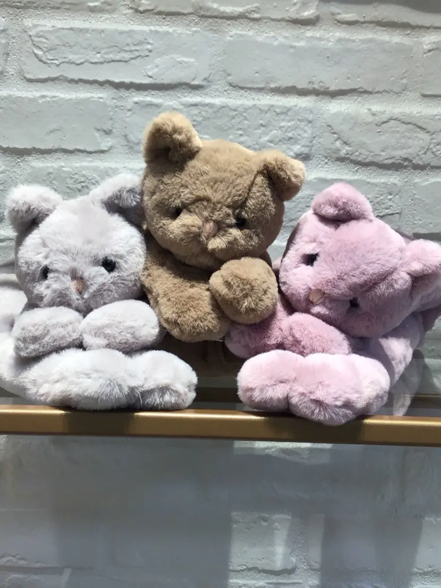 ANY 武市 コーディネート画像