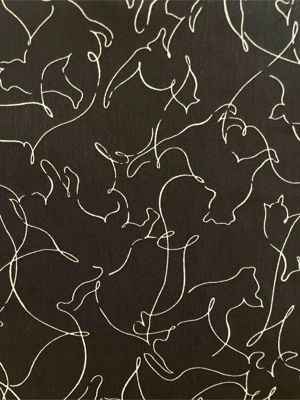 Feroux スタッフ コーディネート画像