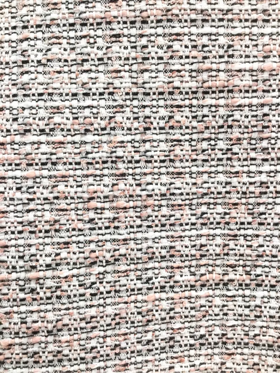 TOCCA 𝒽 コーディネート画像