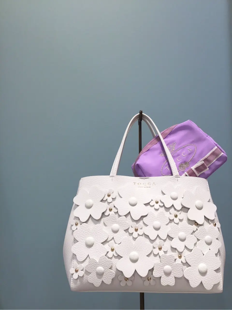 TOCCA 𝒽 コーディネート画像