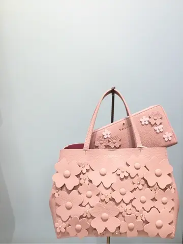 TOCCA 𝒽 コーディネート画像