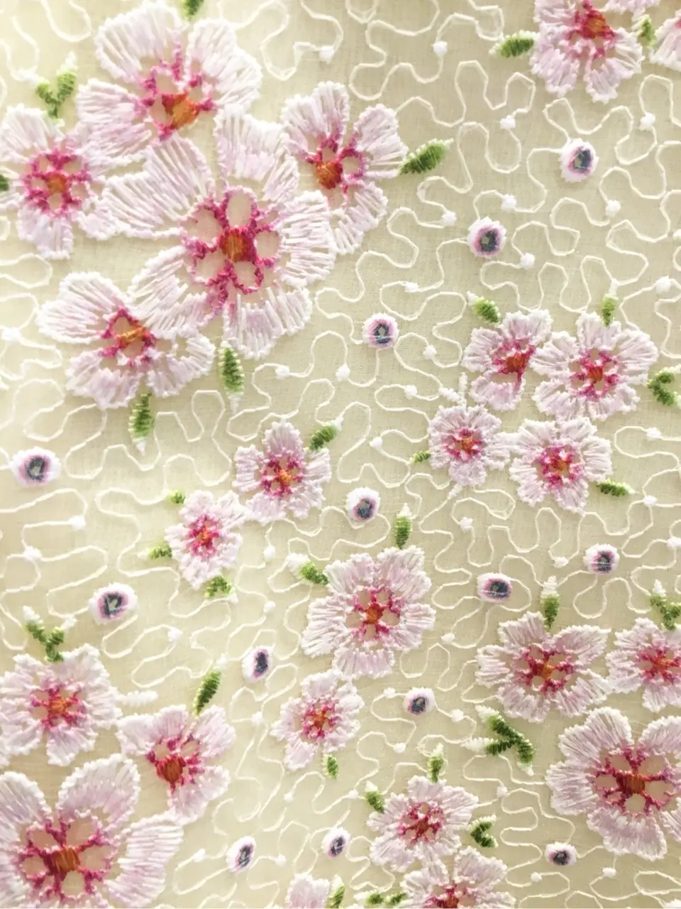 TOCCA 𝒽 コーディネート画像