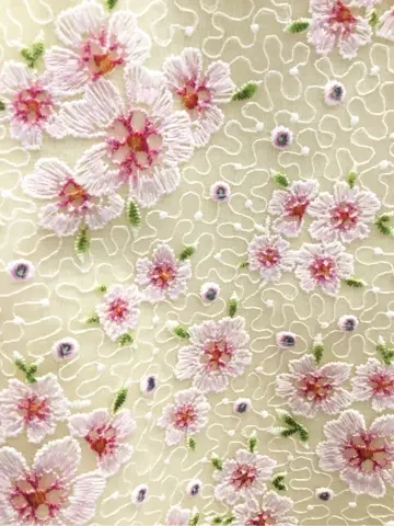 TOCCA 𝒽 コーディネート画像