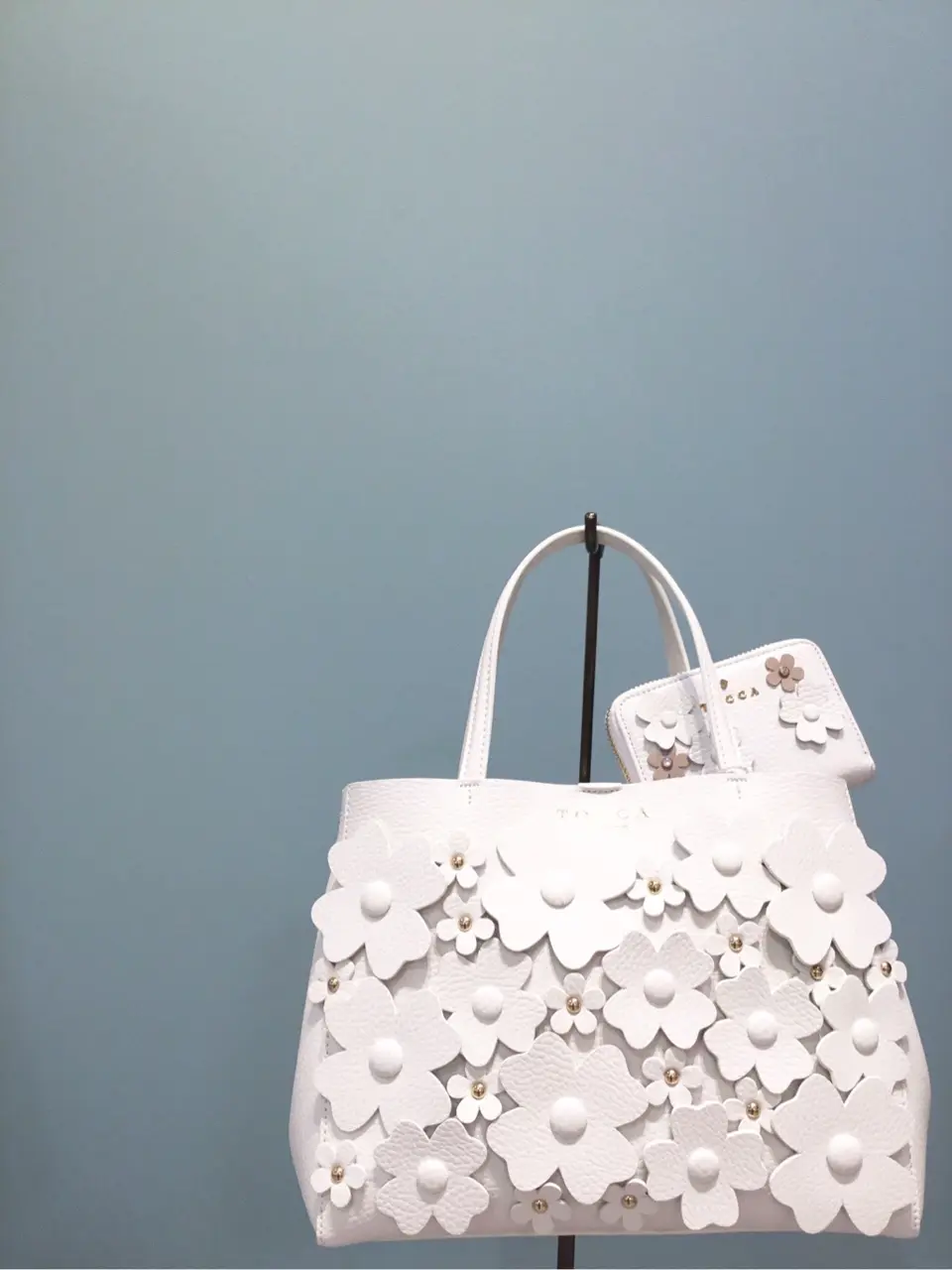 TOCCA 𝒽 コーディネート画像