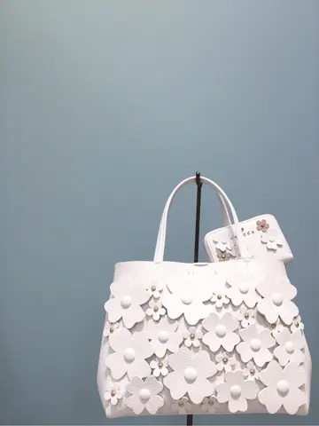 TOCCA 𝒽 コーディネート画像